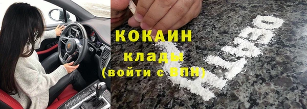 прущие грибы Абинск
