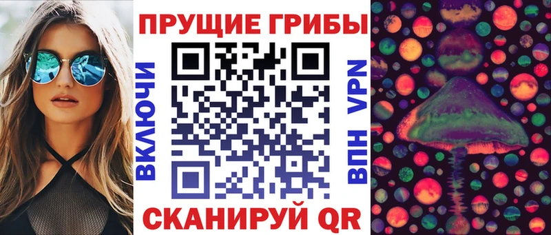 даркнет сайт  Кочубеевское  ссылка на мегу сайт  Галлюциногенные грибы Psilocybine cubensis 